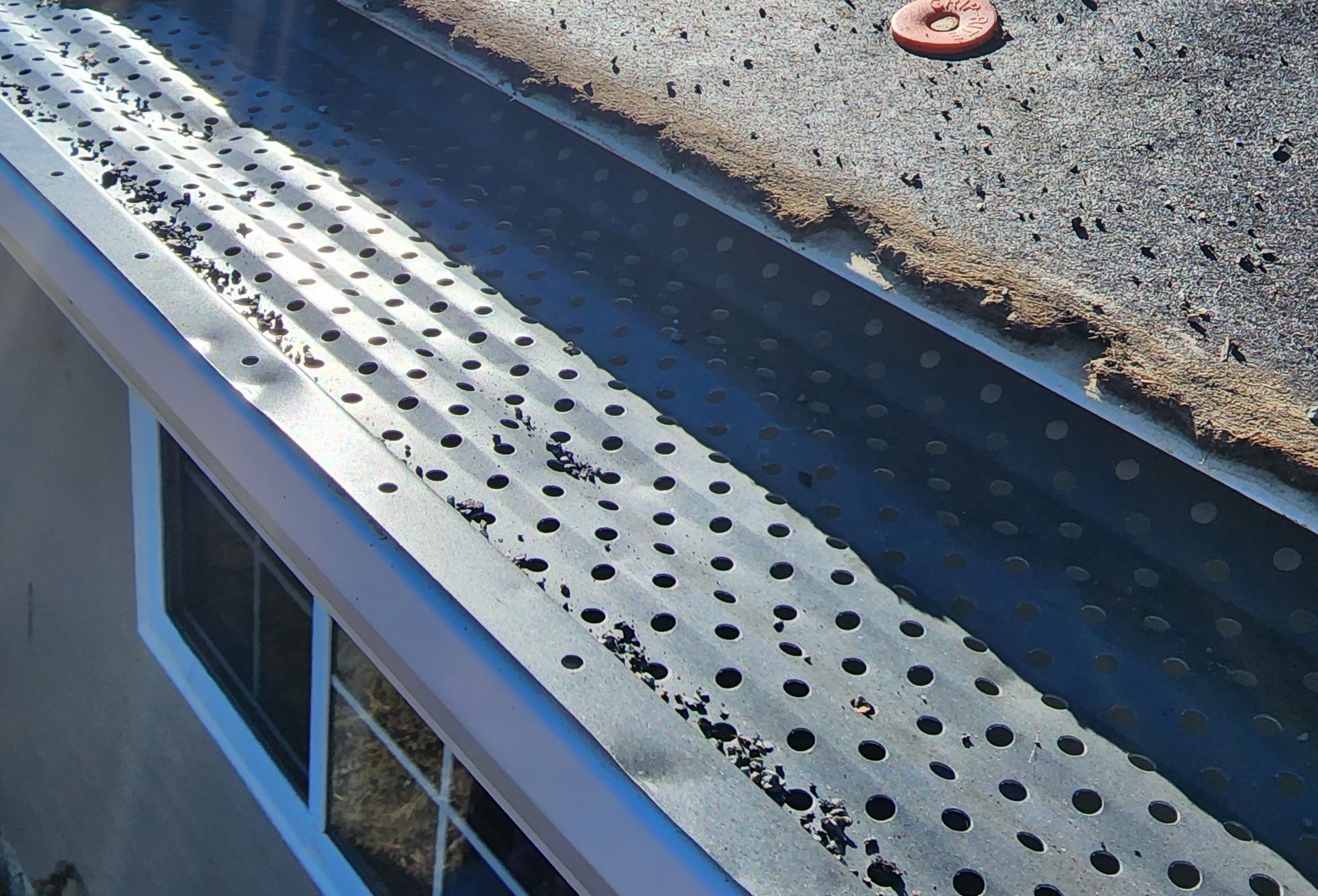 Close-up of a perforated leafguard cover on a Fort Collins gutter with debris buildup along the mesh