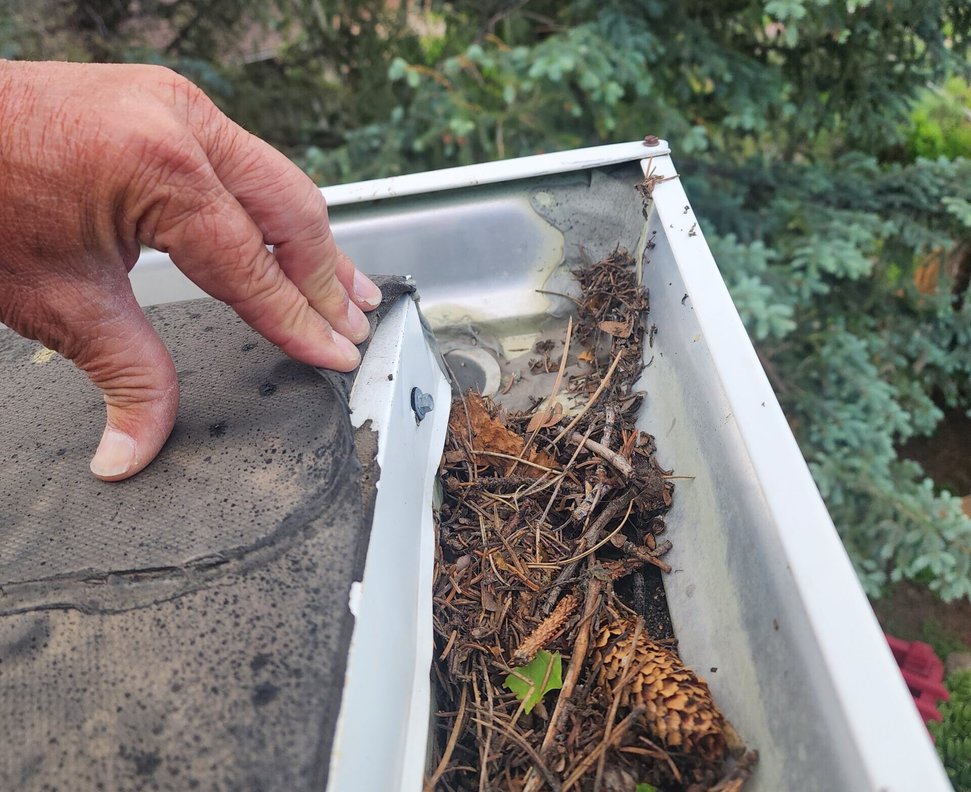 Leafguard gutter systems